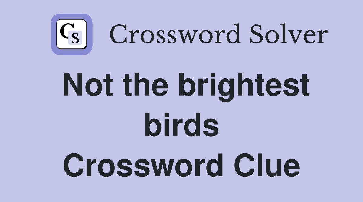 Not the brightest birds Crossword Clue