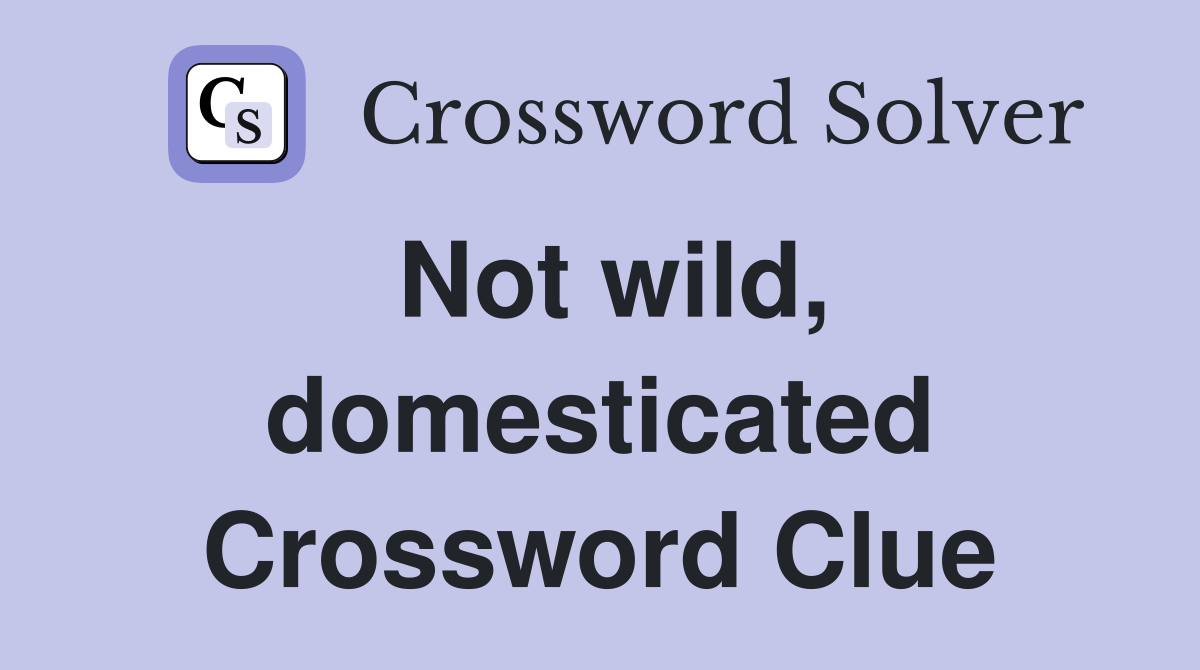 Not wild, domesticated Crossword Clue
