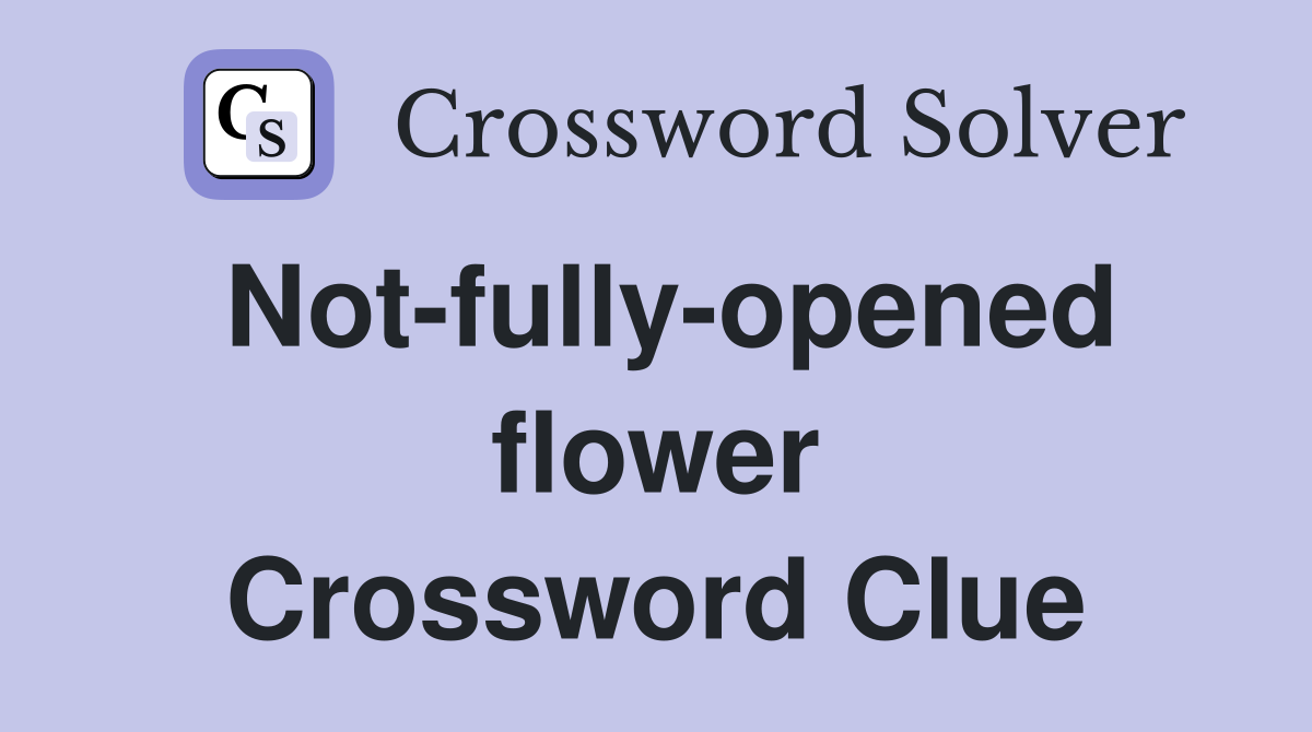 Not-fully-opened flower Crossword Clue