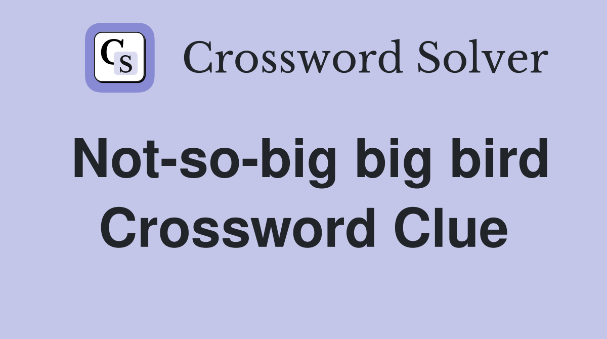 Not-so-big big bird Crossword Clue