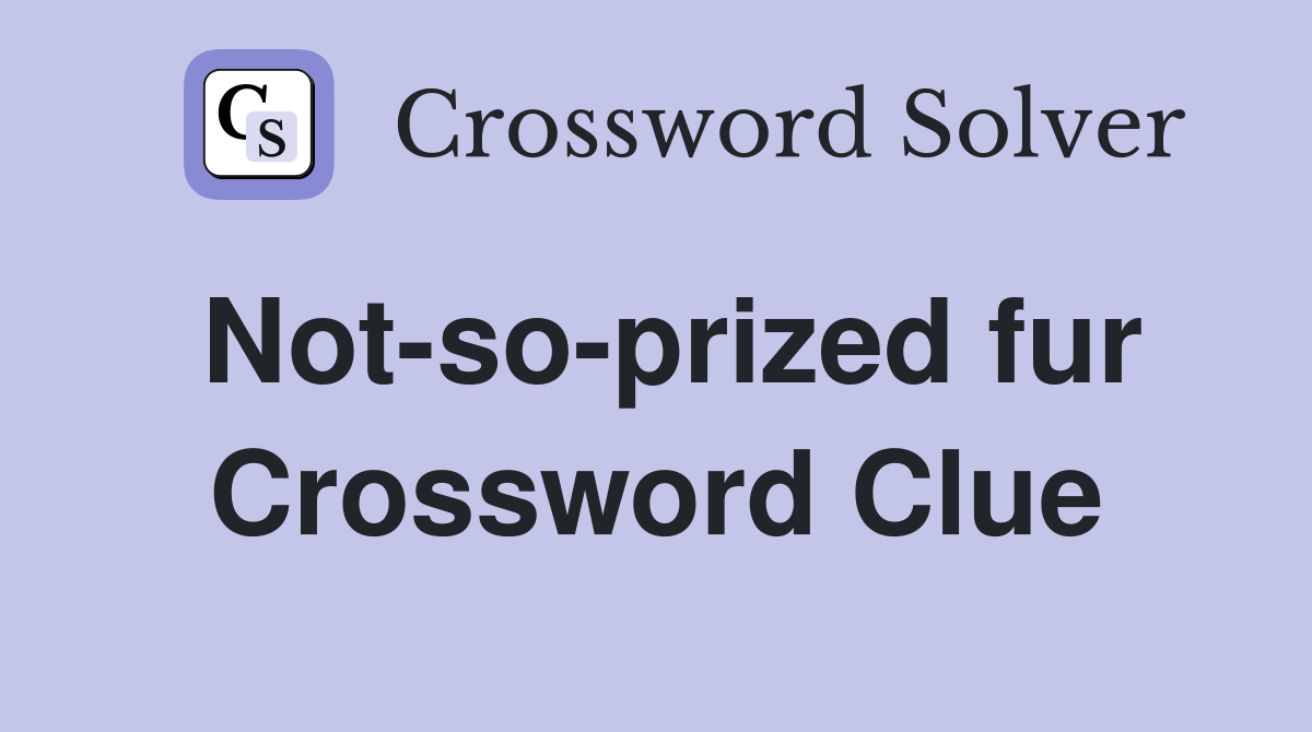 Not-so-prized fur Crossword Clue