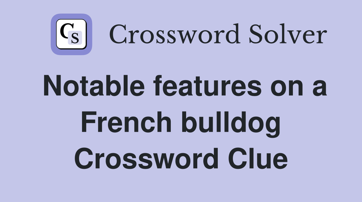 Notable features on a French bulldog Crossword Clue