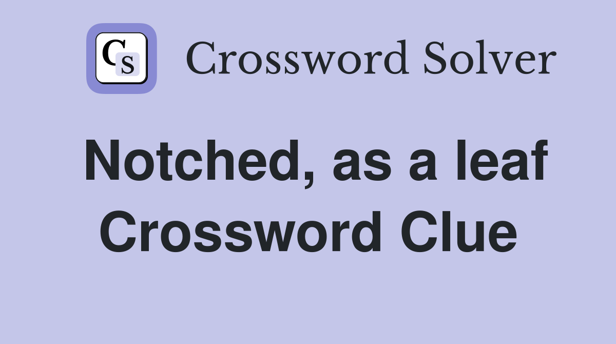 Notched, as a leaf Crossword Clue