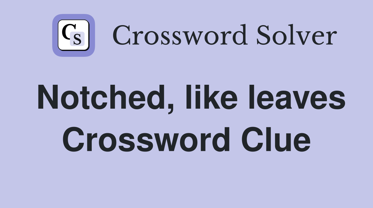Notched, like leaves Crossword Clue
