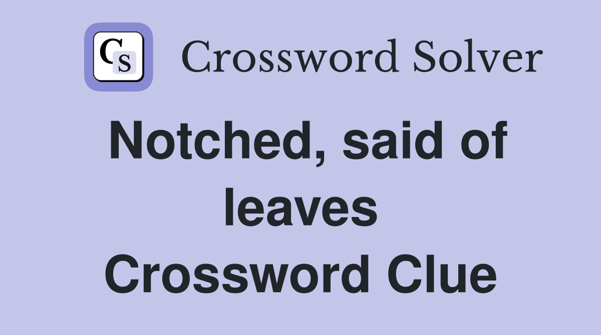 Notched, said of leaves Crossword Clue