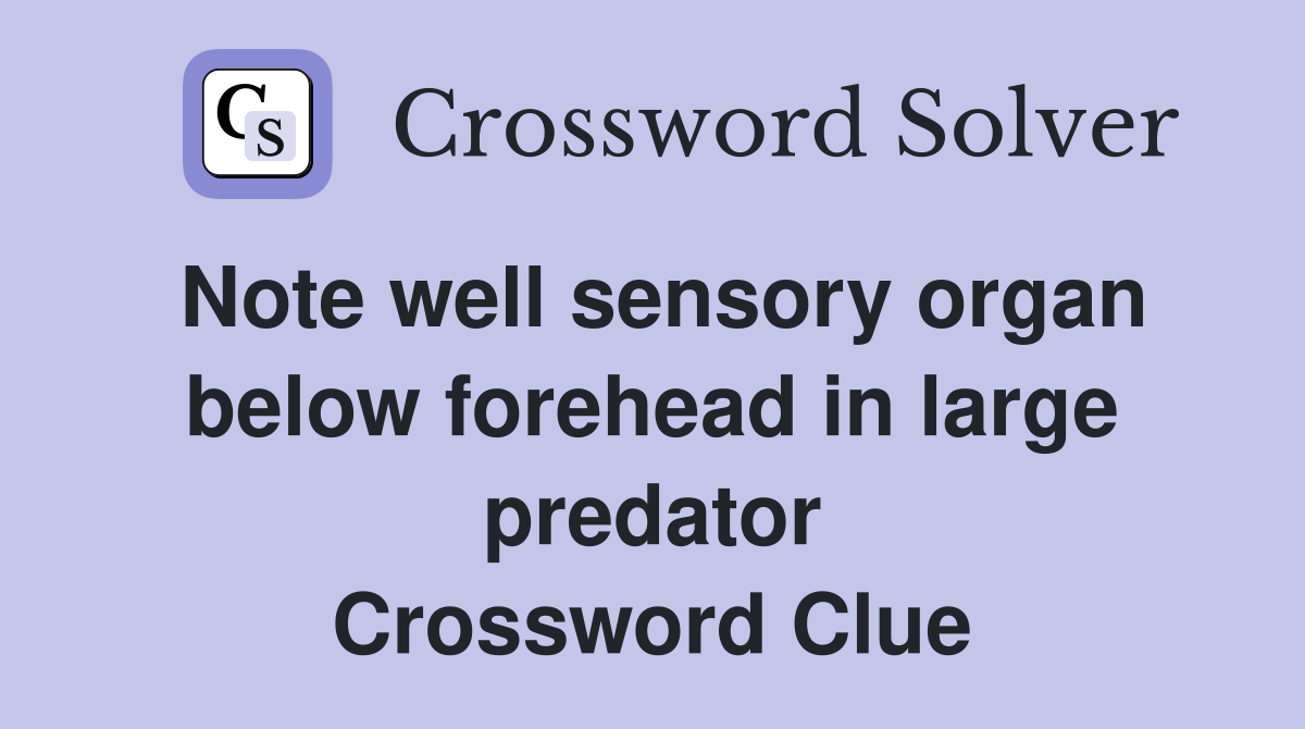 Note well sensory organ below forehead in large predator Crossword Clue