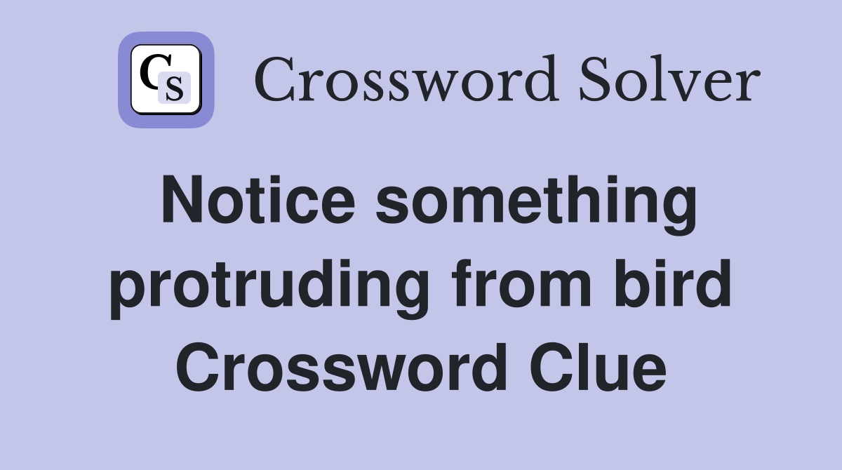Notice something protruding from bird Crossword Clue
