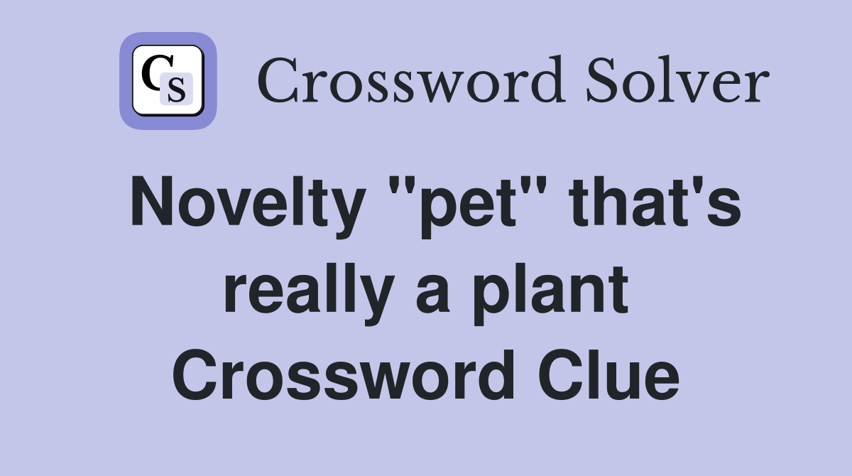Novelty "pet" that's really a plant Crossword Clue