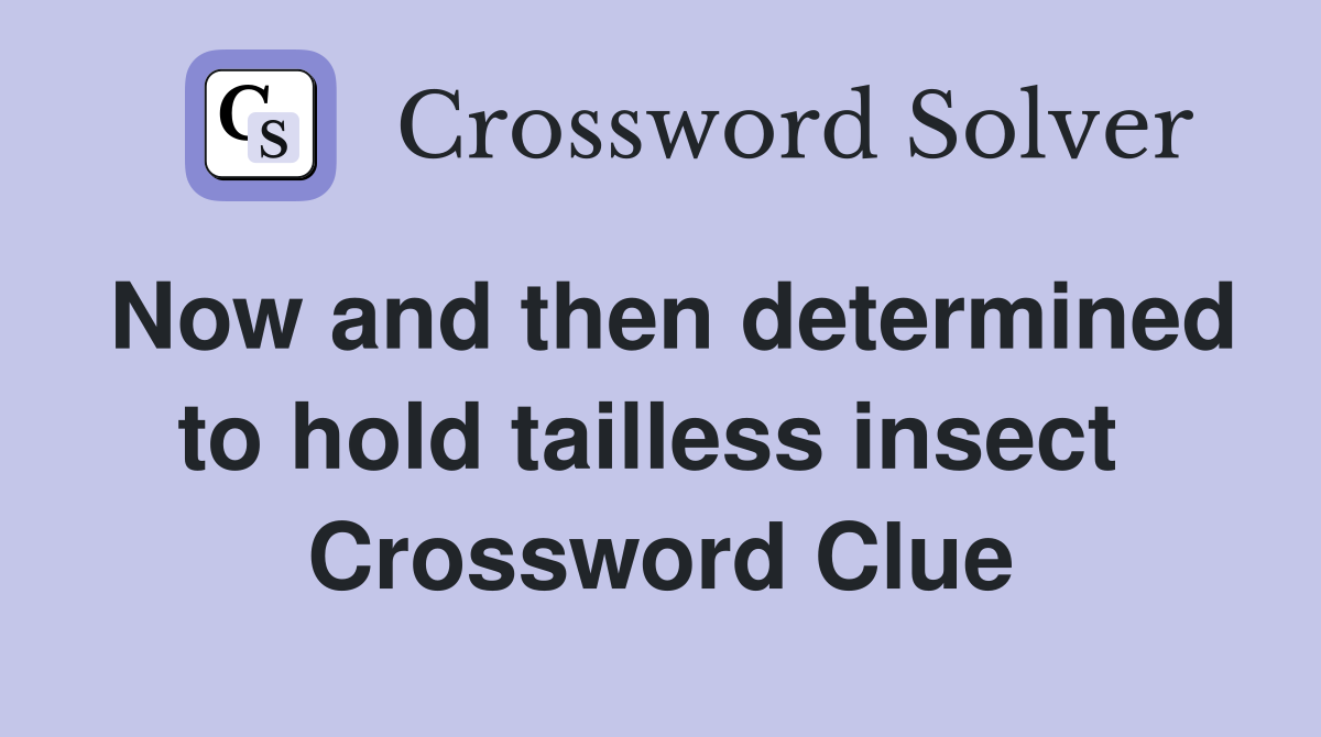 Now and then determined to hold tailless insect  Crossword Clue