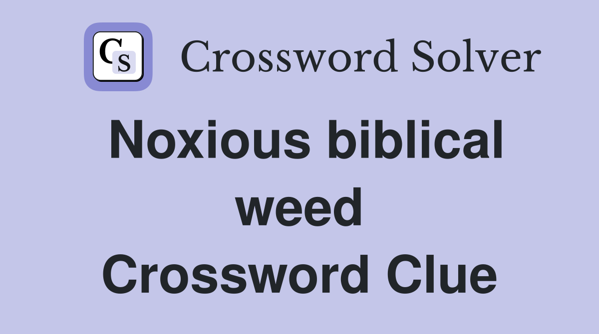 Noxious biblical weed Crossword Clue