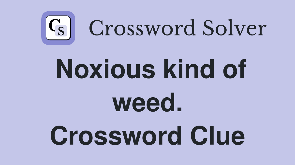 Noxious kind of weed. Crossword Clue
