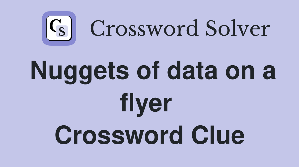 Nuggets of data on a flyer  Crossword Clue