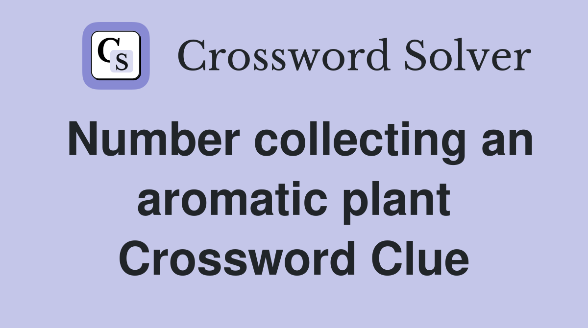Number collecting an aromatic plant Crossword Clue