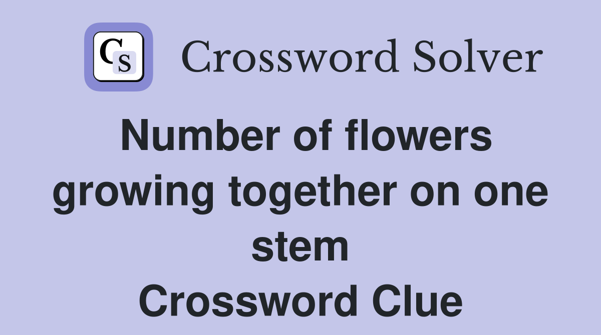 Number of flowers growing together on one stem Crossword Clue