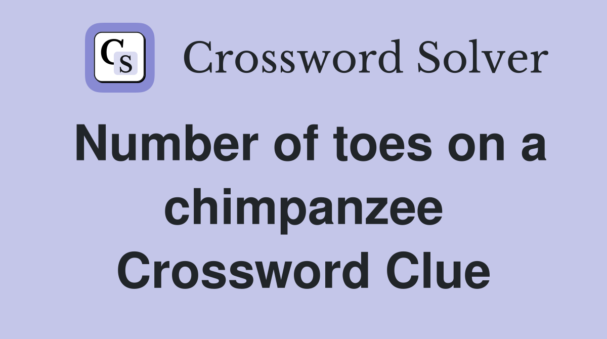 Number of toes on a chimpanzee Crossword Clue