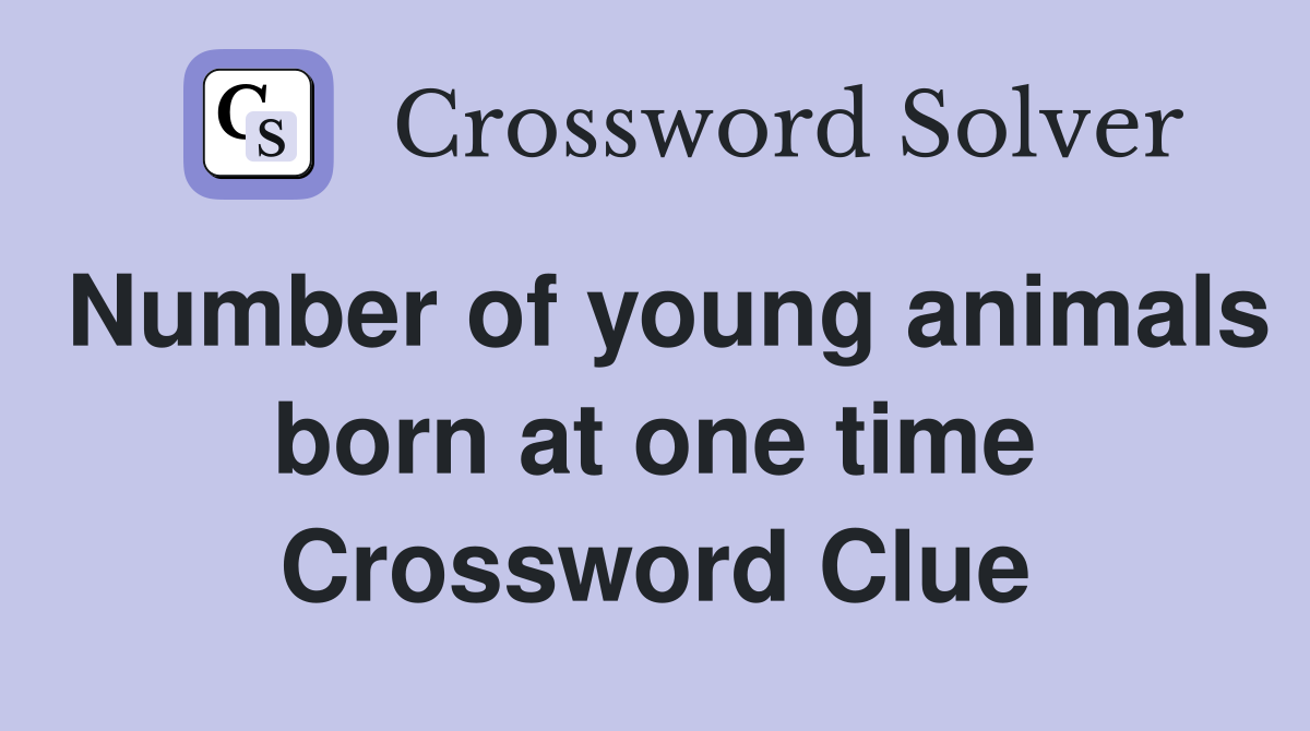 Number of young animals born at one time Crossword Clue