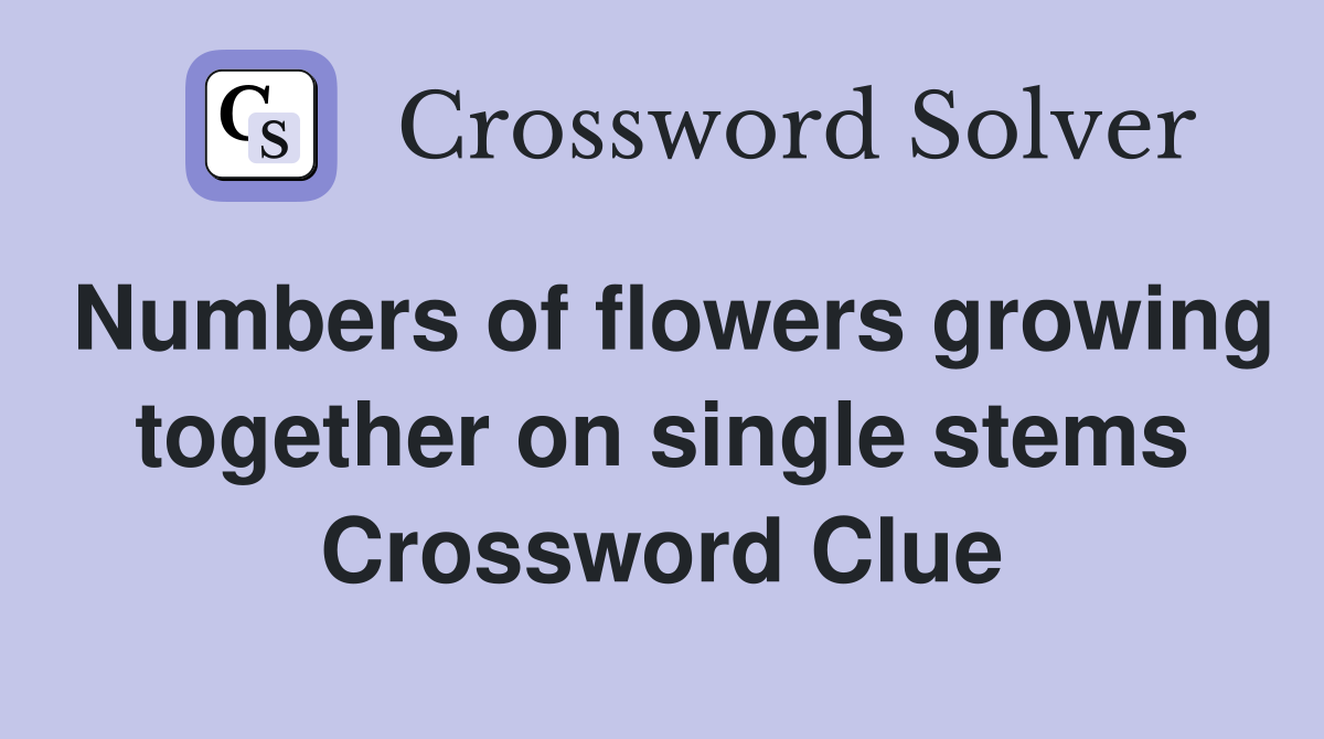 Numbers of flowers growing together on single stems Crossword Clue