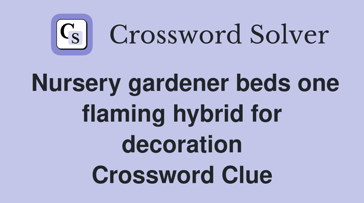 Nursery gardener beds one flaming hybrid for decoration Crossword Clue