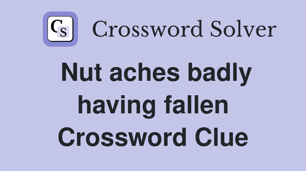 Nut aches badly having fallen Crossword Clue