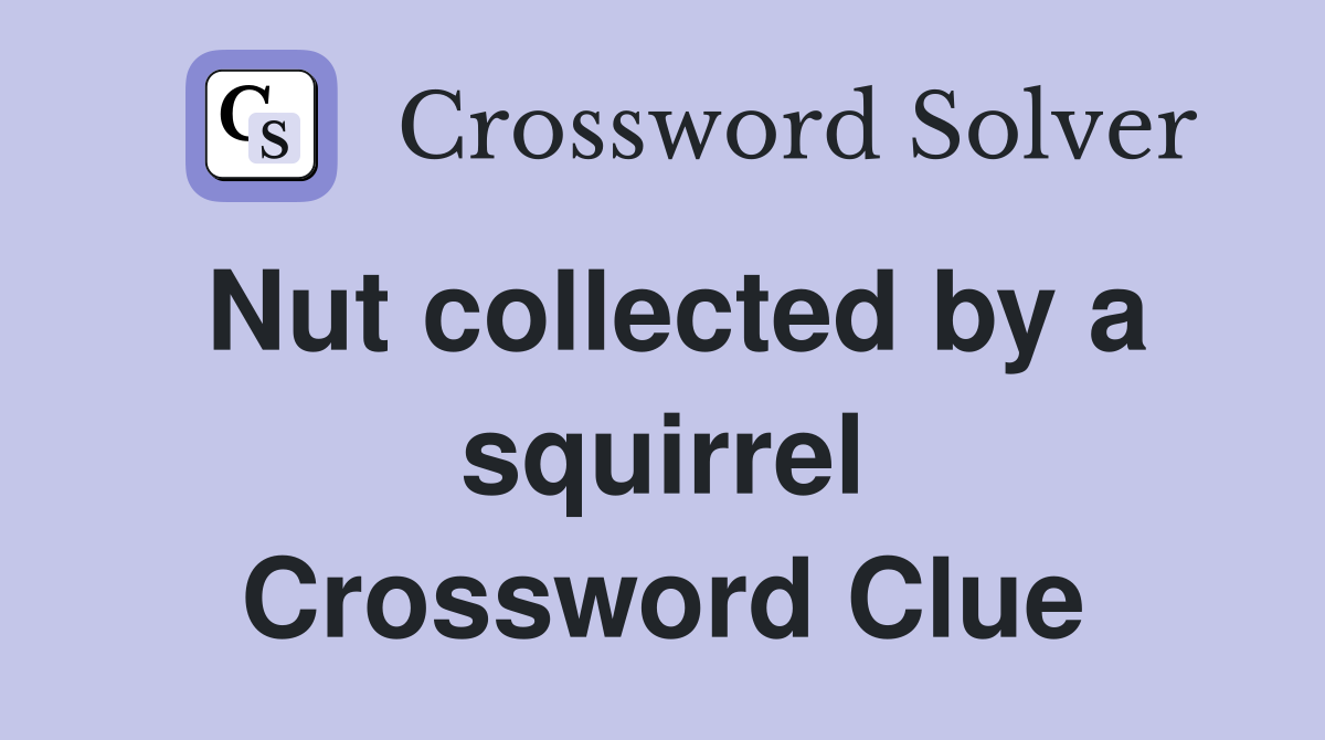 Nut collected by a squirrel Crossword Clue