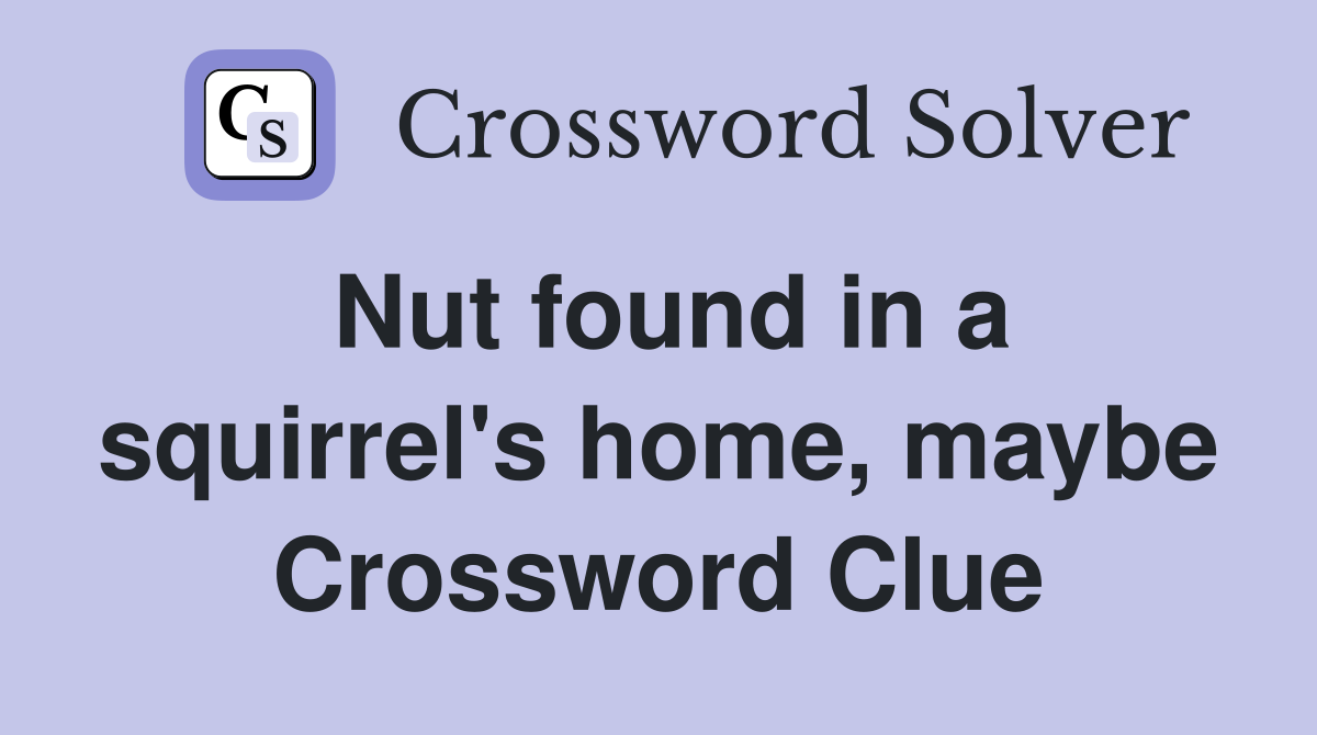 Nut found in a squirrel's home, maybe Crossword Clue