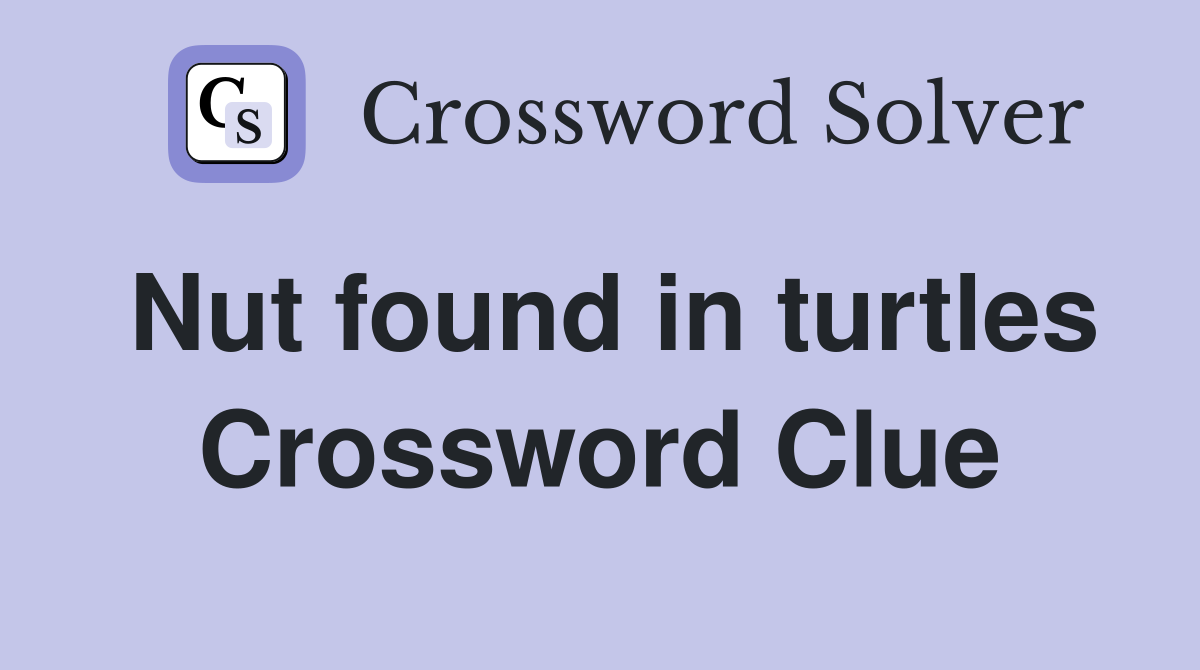 Nut found in turtles Crossword Clue