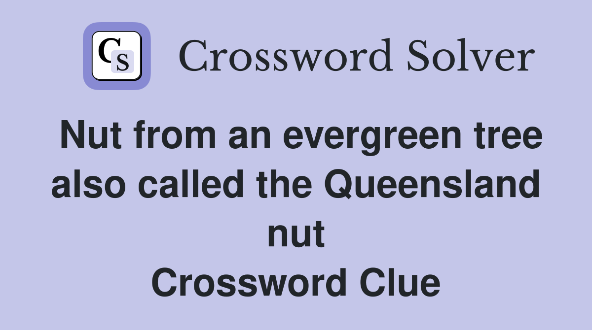 Nut from an evergreen tree also called the Queensland nut Crossword Clue