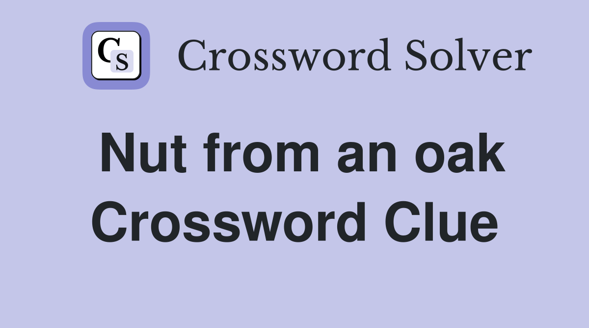 Nut from an oak Crossword Clue