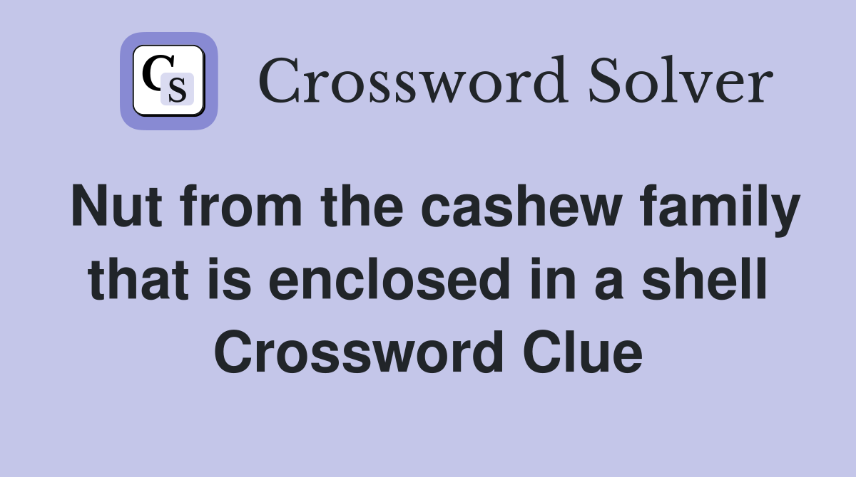 Nut from the cashew family that is enclosed in a shell Crossword Clue