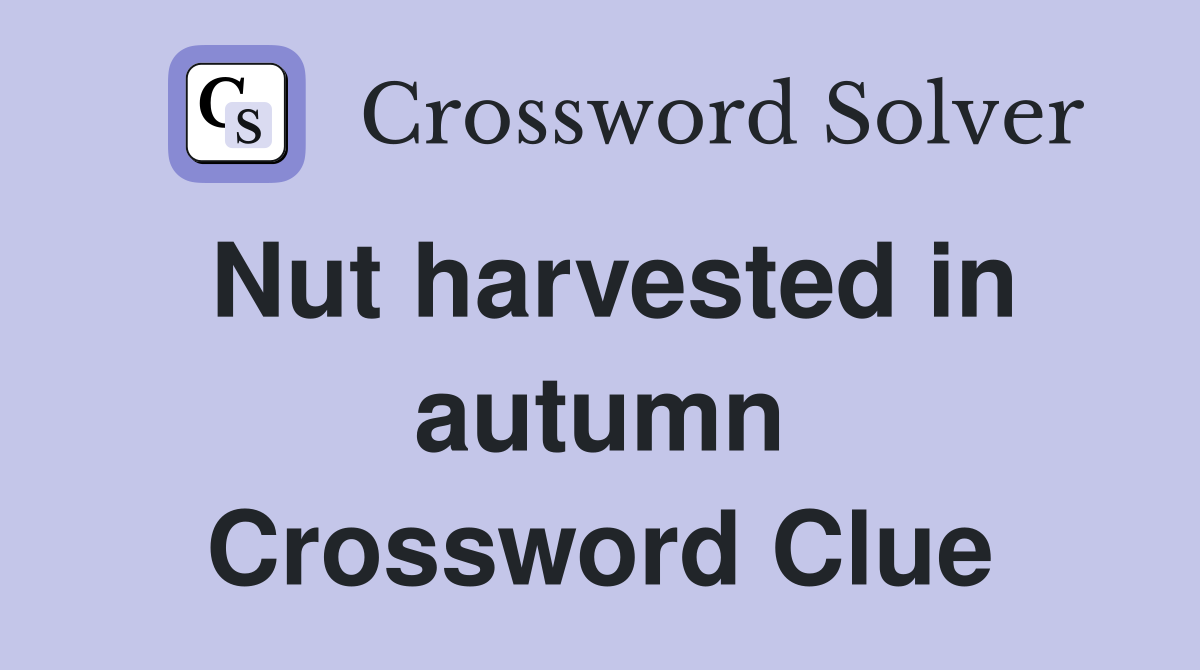Nut harvested in autumn Crossword Clue