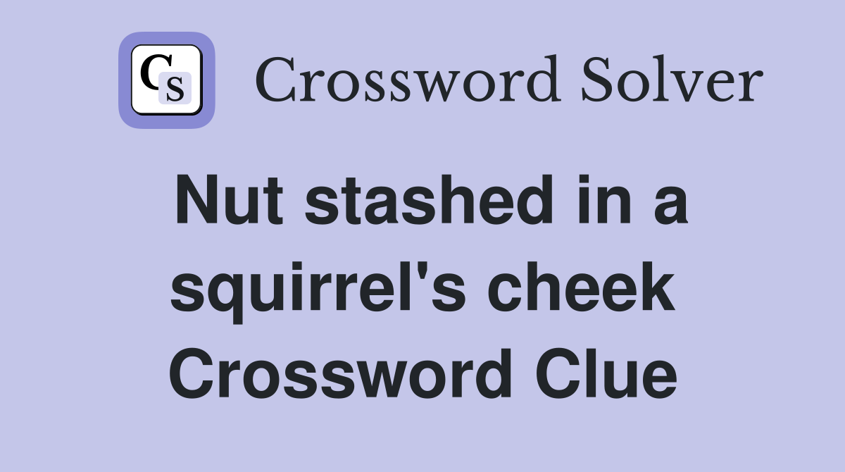 Nut stashed in a squirrel's cheek Crossword Clue
