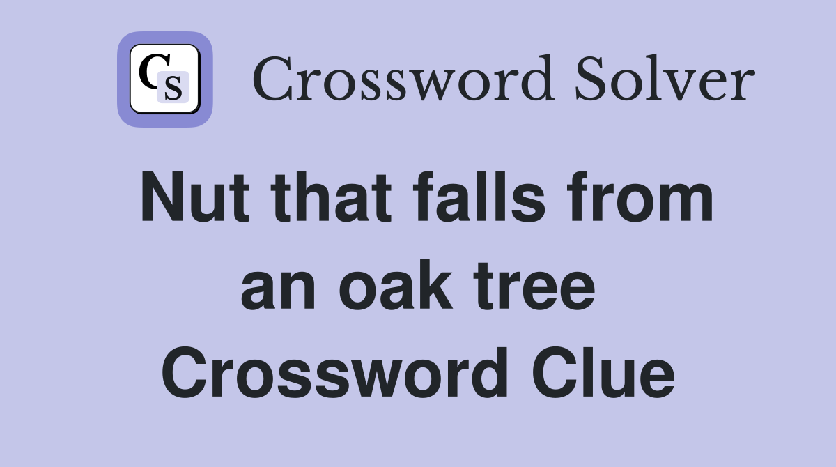 Nut that falls from an oak tree Crossword Clue