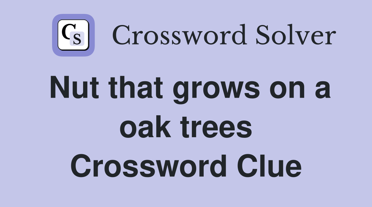 Nut that grows on a oak trees Crossword Clue