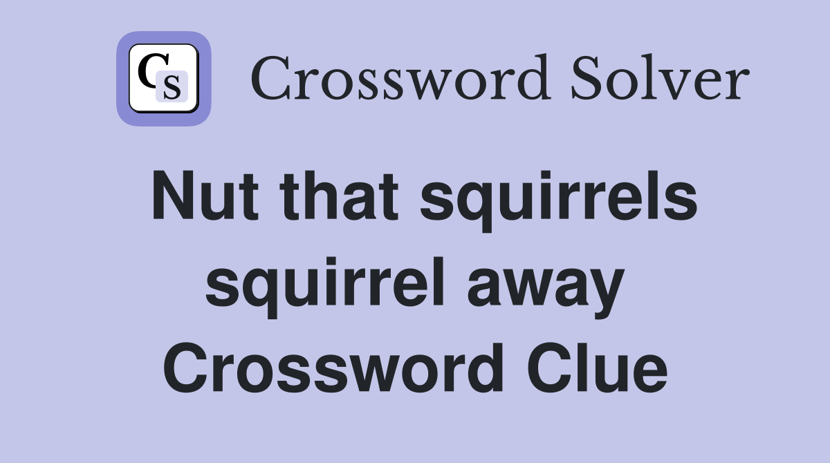Nut that squirrels squirrel away Crossword Clue
