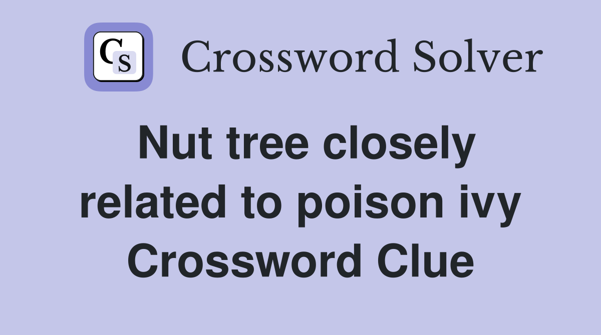 Nut tree closely related to poison ivy Crossword Clue
