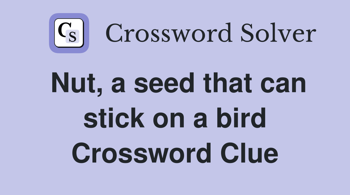 Nut, a seed that can stick on a bird Crossword Clue