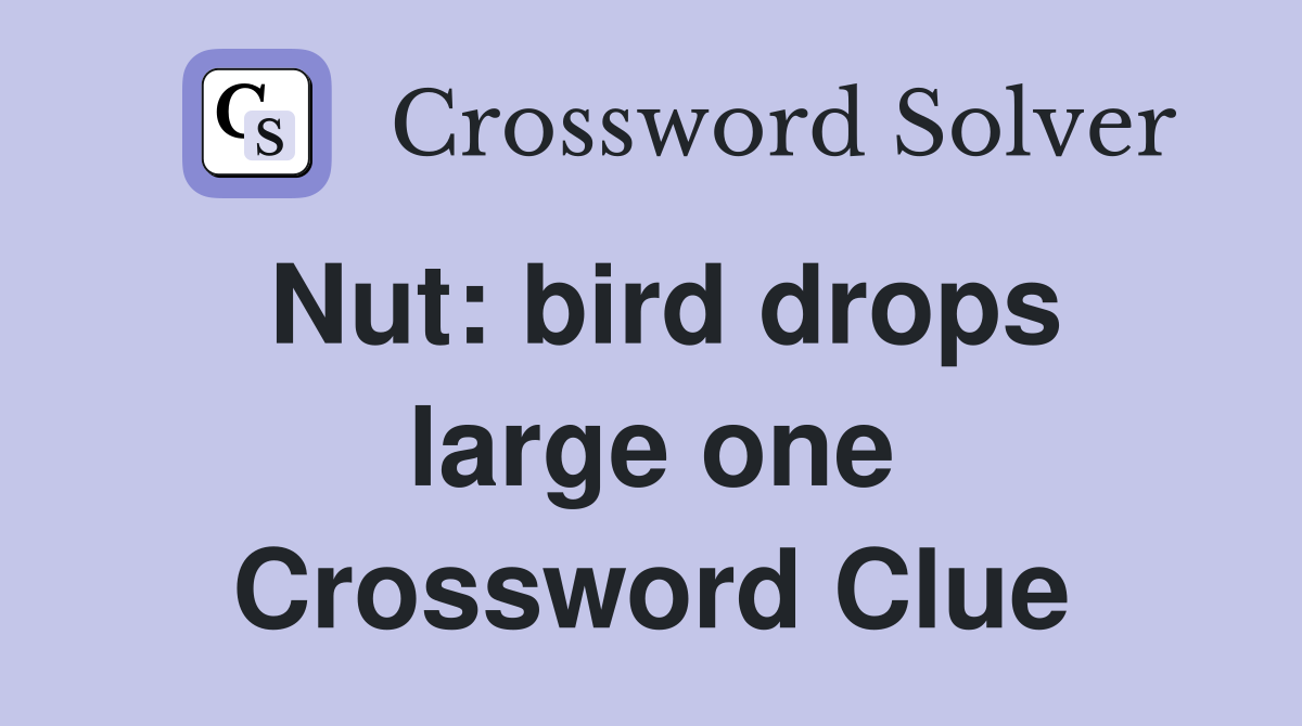 Nut: bird drops large one Crossword Clue