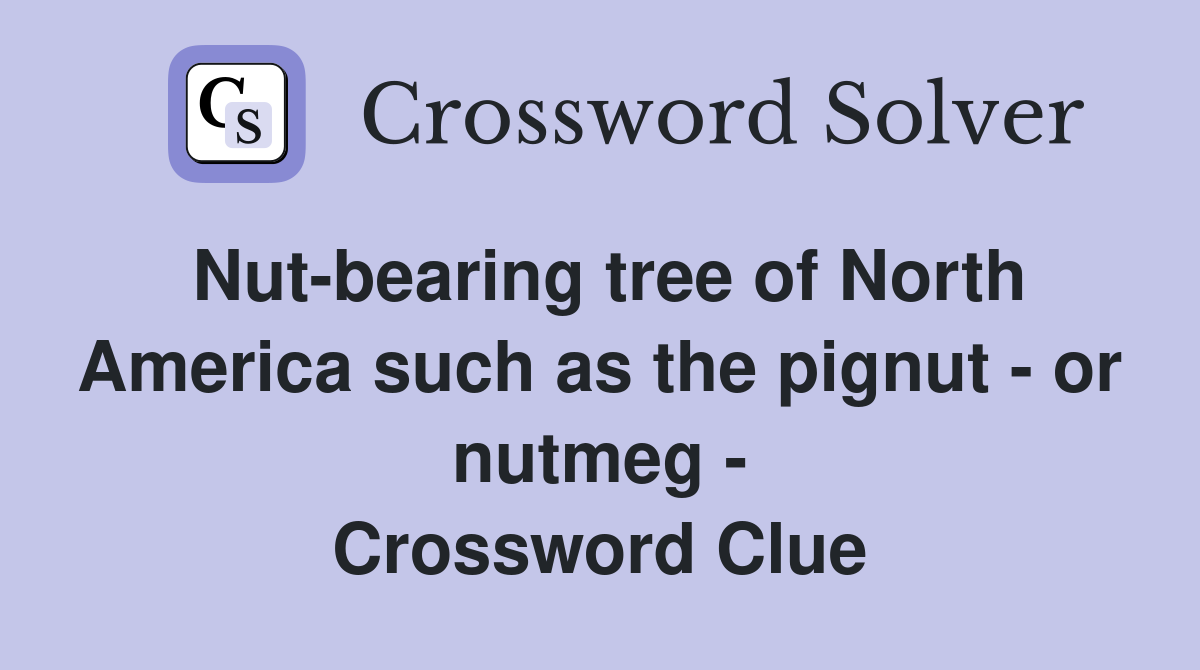 Nut-bearing tree of North America such as the pignut - or nutmeg - Crossword Clue