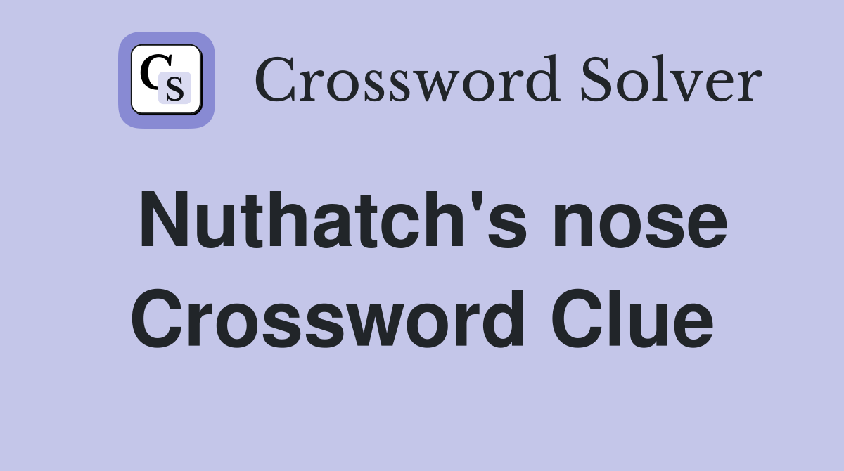 Nuthatch's nose Crossword Clue