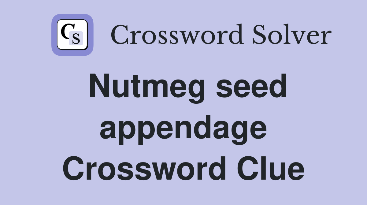 Nutmeg seed appendage Crossword Clue