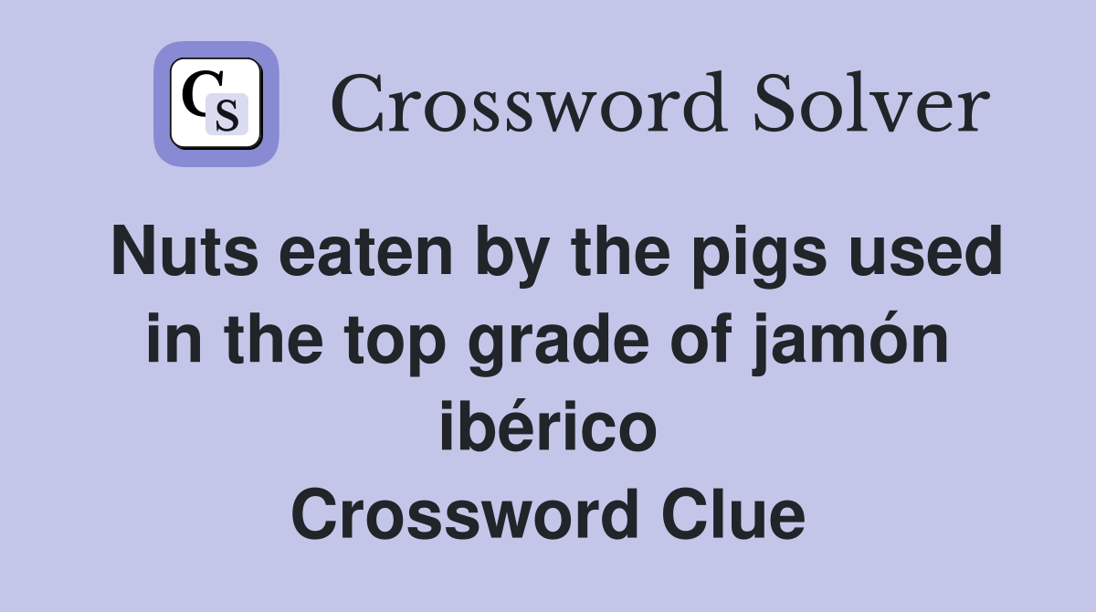 Nuts eaten by the pigs used in the top grade of jamón ibérico Crossword Clue