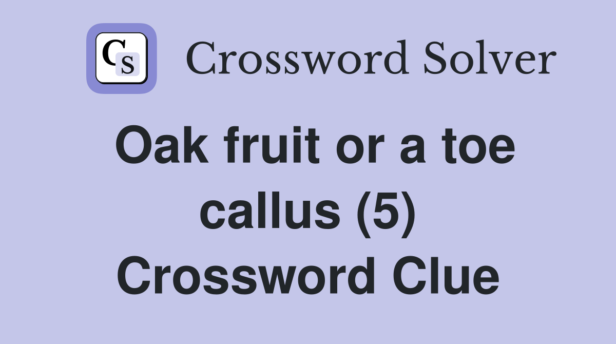 Oak fruit or a toe callus (5) Crossword Clue