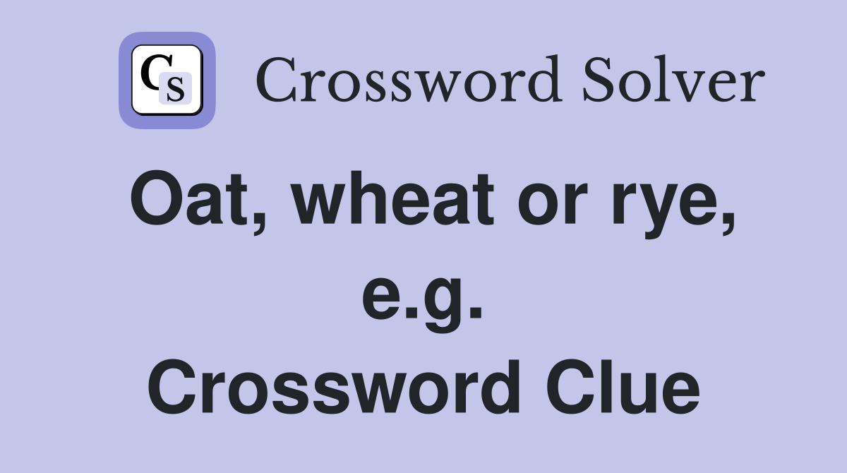 Oat, wheat or rye, e.g. Crossword Clue