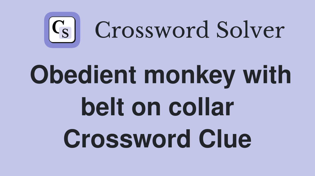 Obedient monkey with belt on collar Crossword Clue