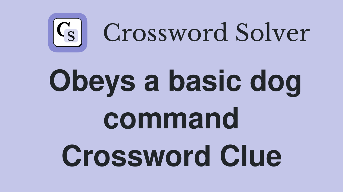 Obeys a basic dog command Crossword Clue