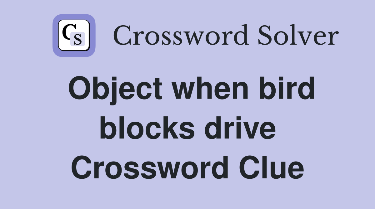 Object when bird blocks drive Crossword Clue