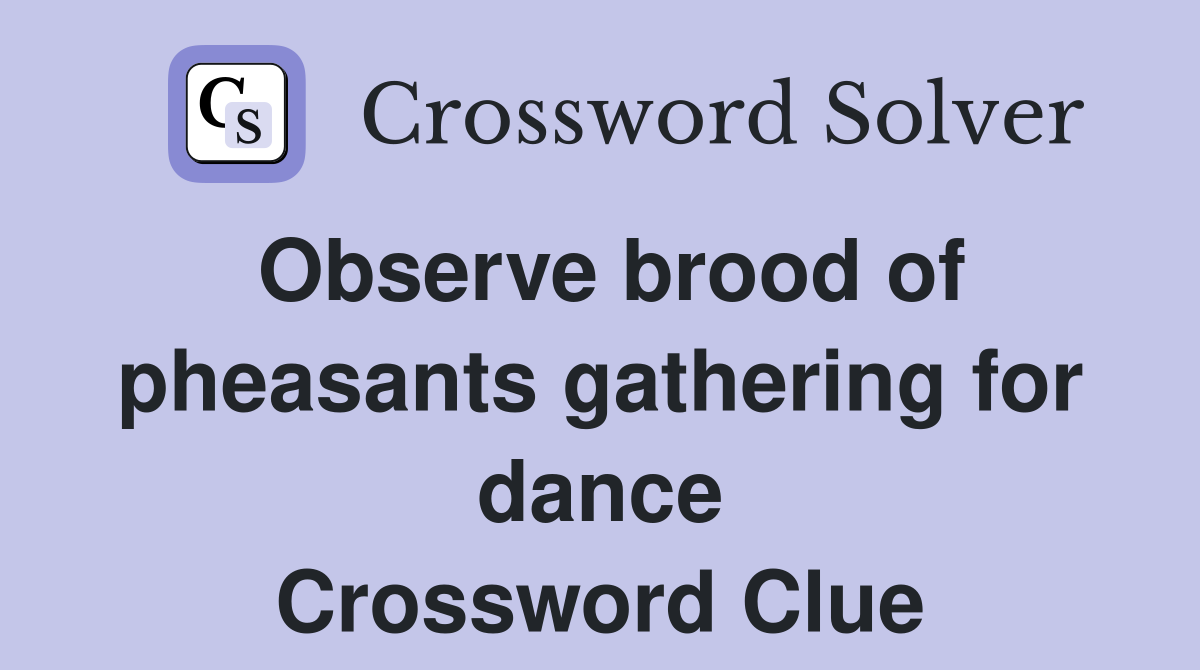 Observe brood of pheasants gathering for dance Crossword Clue