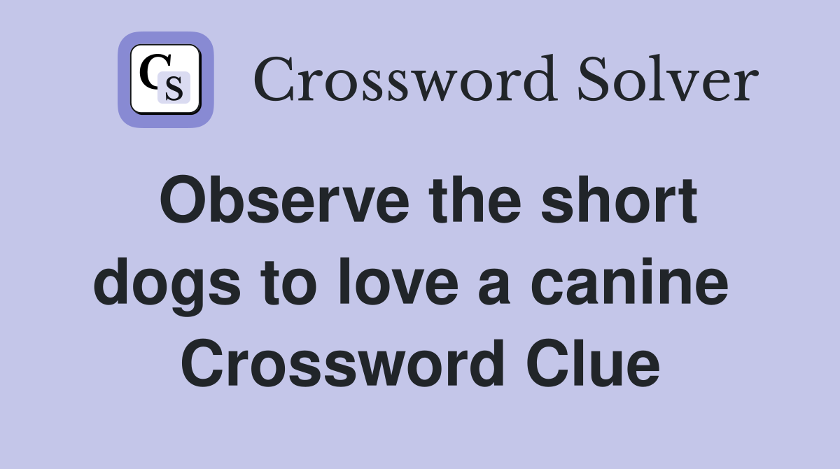 Observe the short dogs to love a canine  Crossword Clue