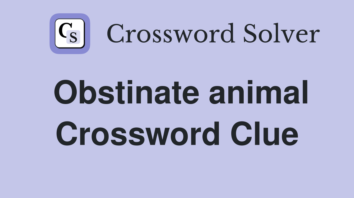Obstinate animal Crossword Clue