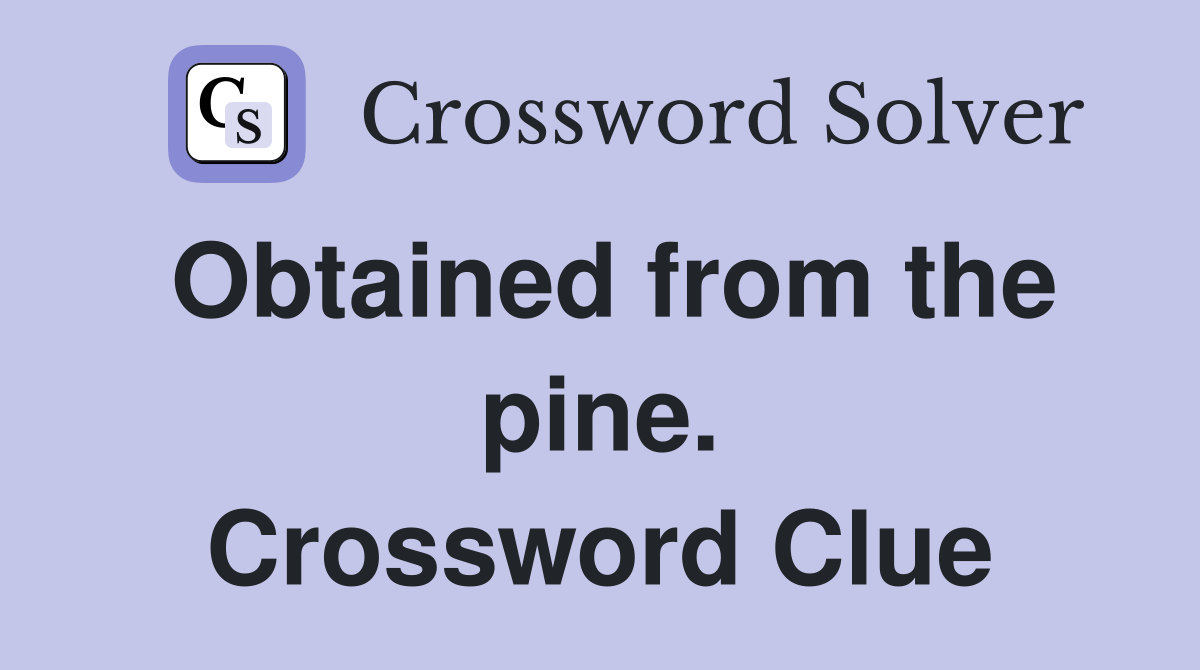 Obtained from the pine. Crossword Clue